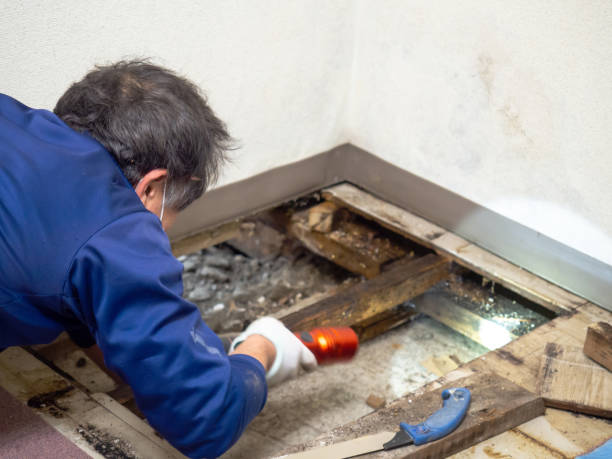 Best Residential Mold Removal  in La Pine, OR