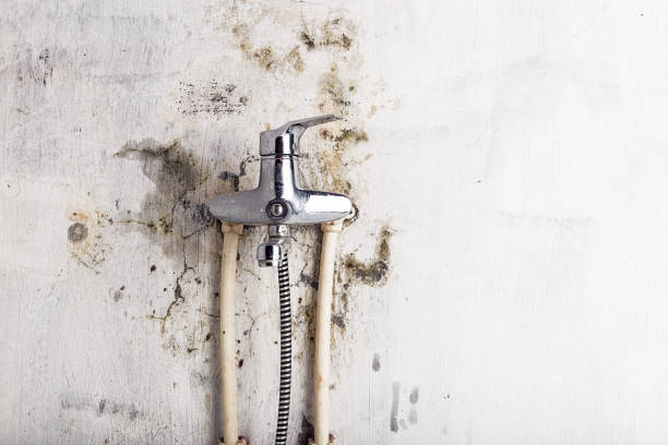 Best Emergency Mold Removal  in La Pine, OR