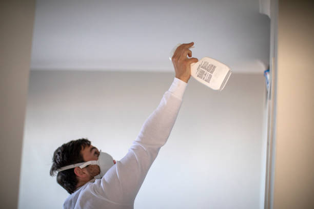 Best Best Mold Removal Companies  in La Pine, OR