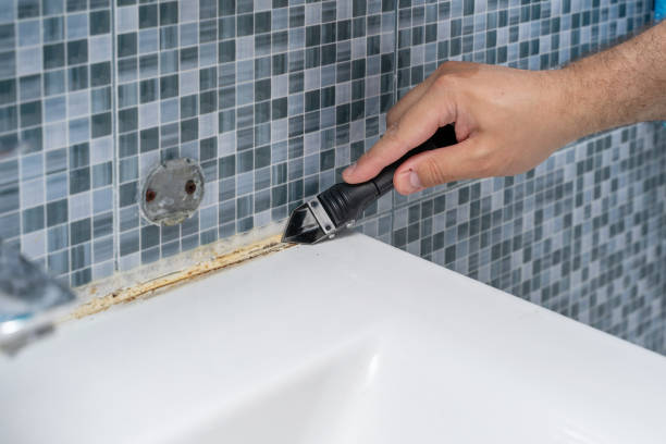 Best Same-Day Mold Removal  in La Pine, OR
