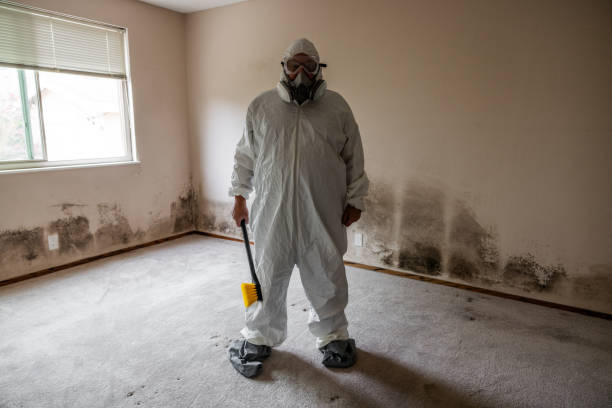 Office Mold Removal Services in La Pine, OR